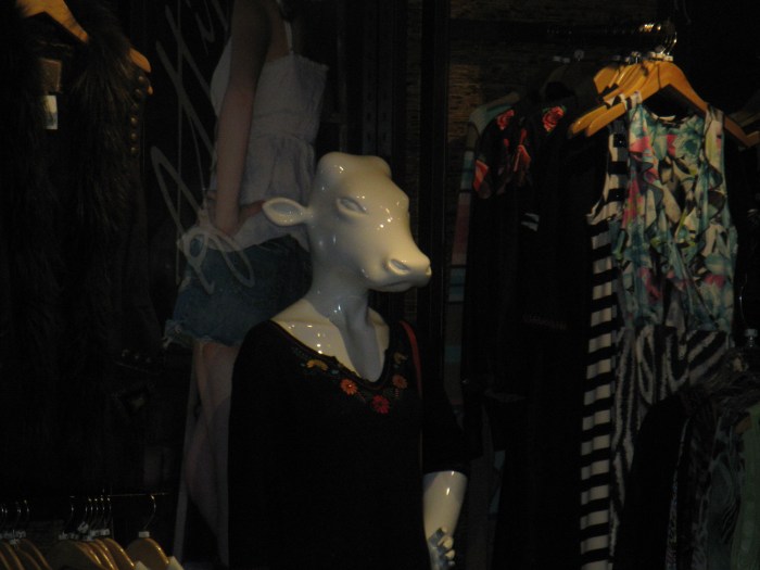 2014-08-16 DFW 2014-08-16 008