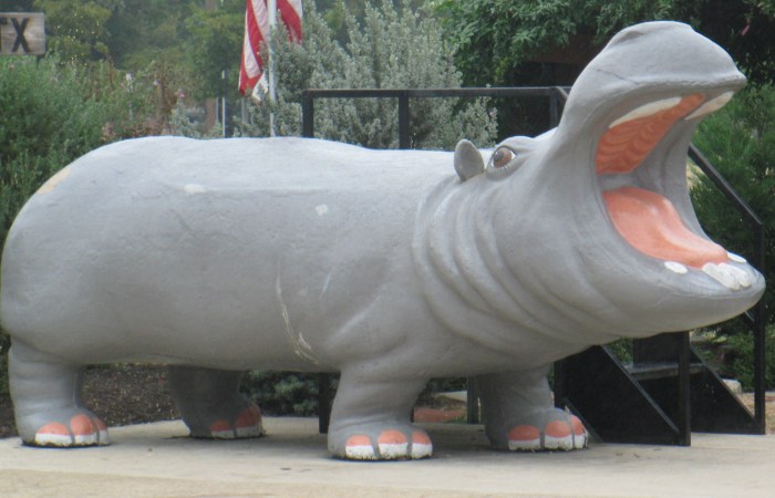 Main Street Hippo