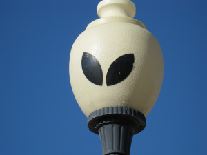 rosewell street light img_1697