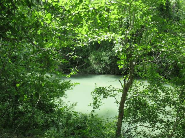 San Marcos River above Fentress, Texas